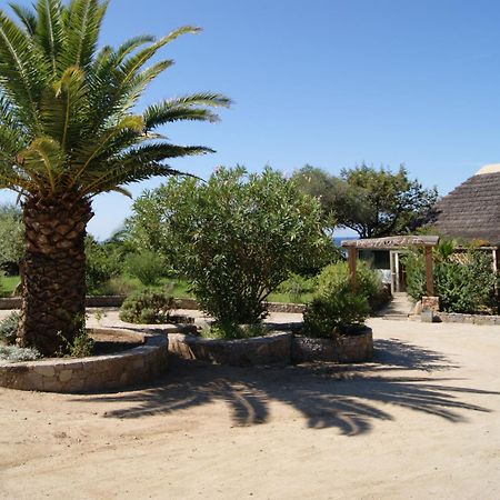 Hotel Le Ruesco Olmeto  Εξωτερικό φωτογραφία