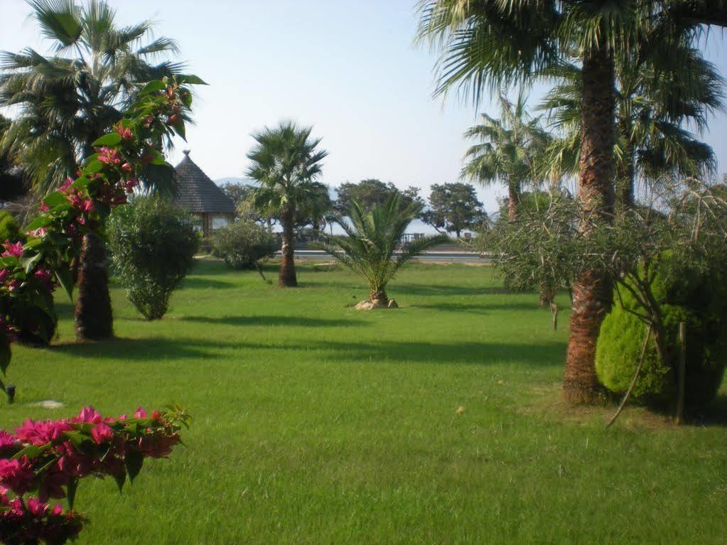 Hotel Le Ruesco Olmeto  Εξωτερικό φωτογραφία